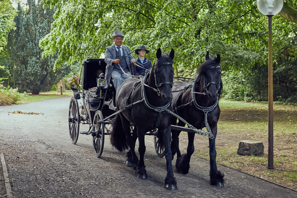 Brautpaar bei einer Kutschfahrt im Münsterland